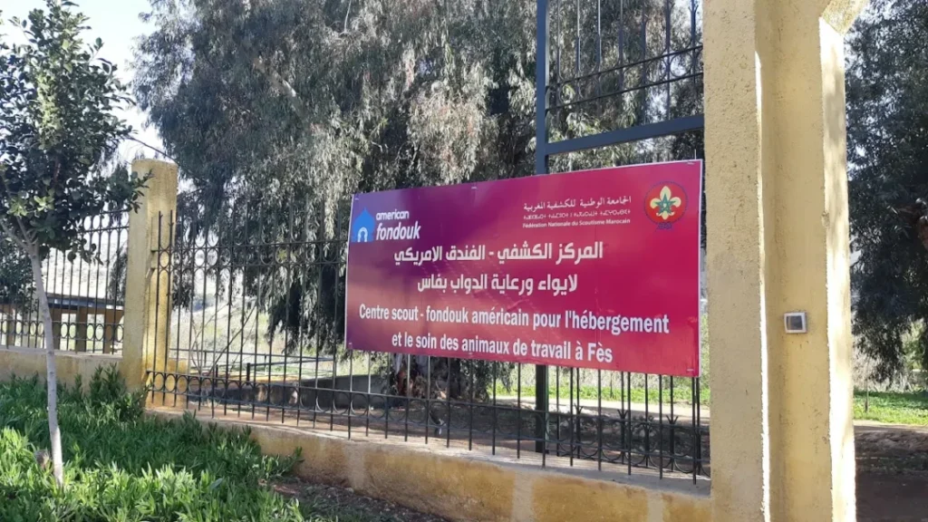 طبيب بيطري في فاس