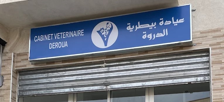 عيادة بيطرية الدروة لعلاج الحيوانات الأليفة