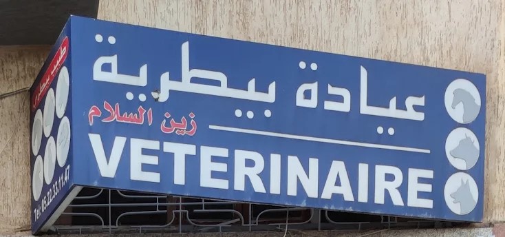 عيادة زين السلام البيطرية ـ عيادة بيطرية في تيط مليل ـ طبيب بيطري