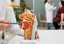 أطباء الأذن و الأنف و الحنجرة في وجدة