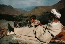 كبار السن الذاكرة، الحنان، والحق في الاحترام