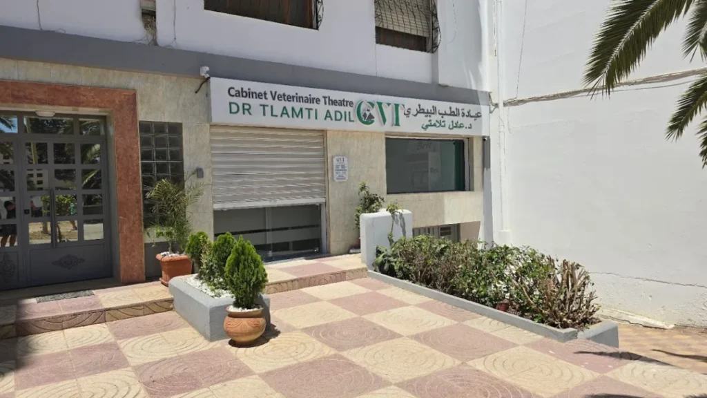 عيادة بيطرية في تطوان، يشرف عليها طبيب بيطري أخصائي علاج أمراض الحيوانات