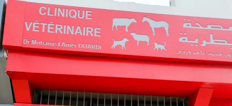 عيادة بيطرية في مديونة لعلاج الحيوانات الأليفة